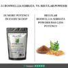 BOSWELLIA EXTRACT POWDER