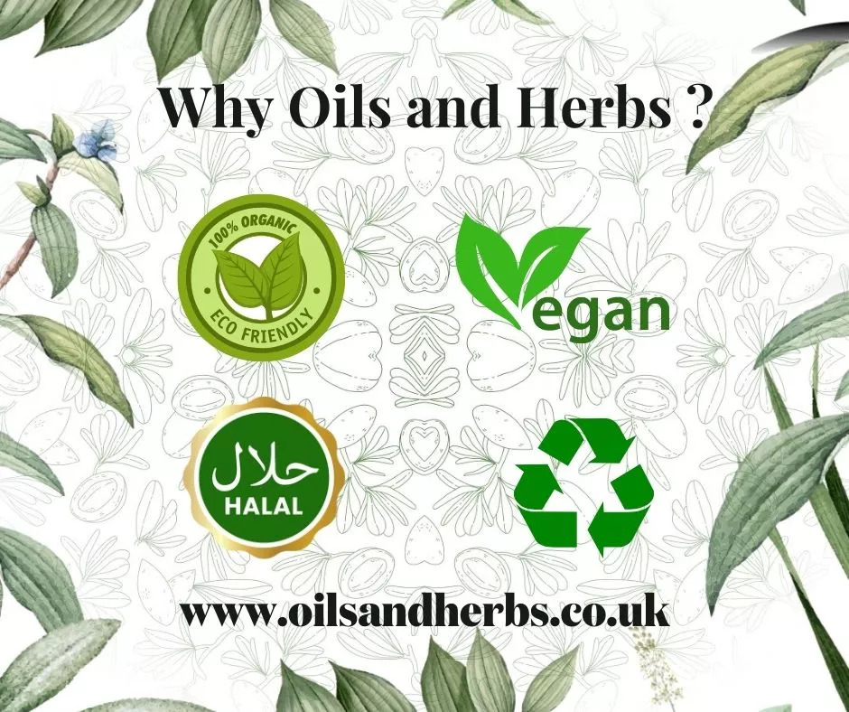 Organic Chana Dal - Split Hulled Chickpeas- GMO FREE-USDA CERTIFIED