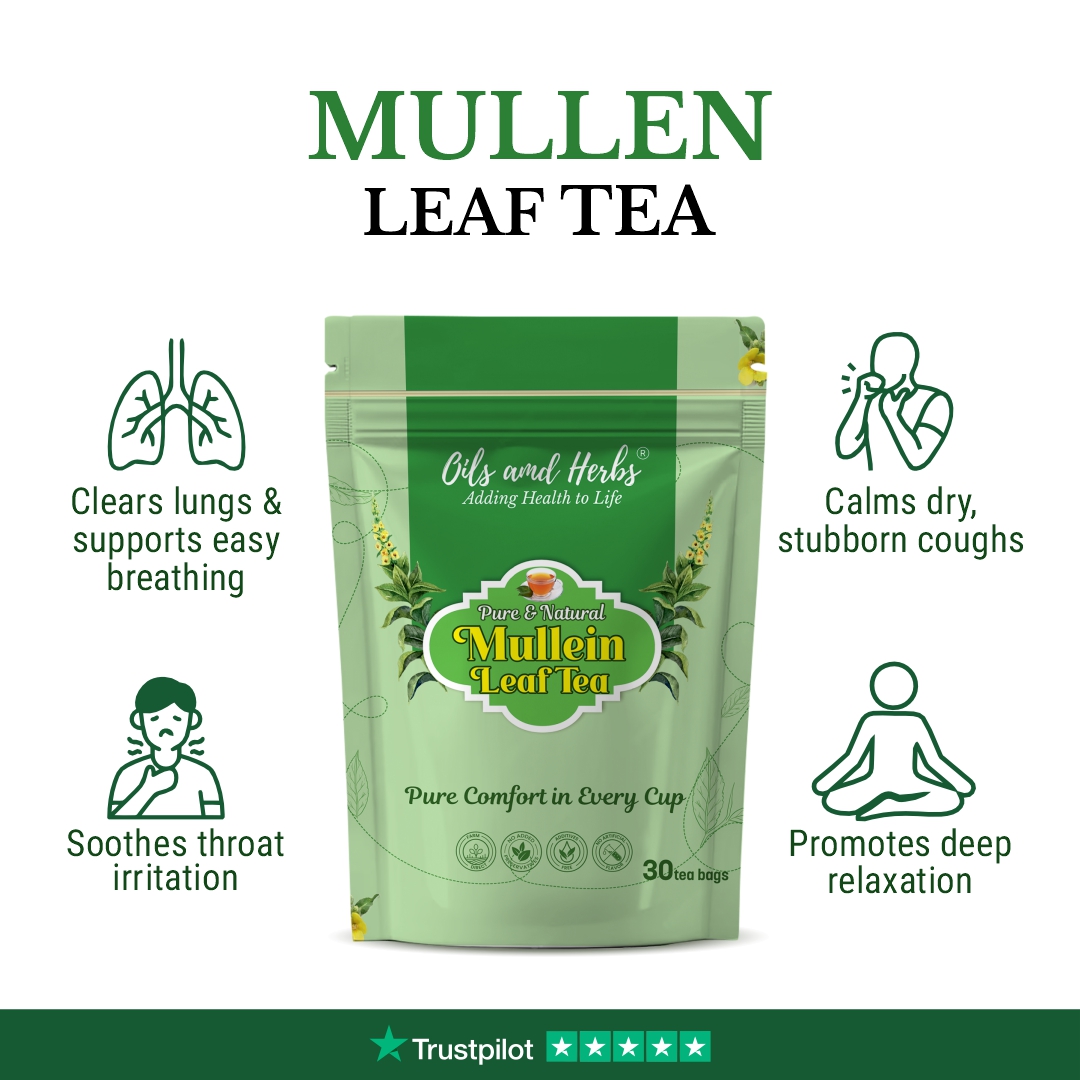 MULLEN LEAF TEA BENEFITS (1)