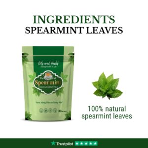 Spear mint leaf _ingredient