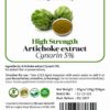 Artichoke Extract powder